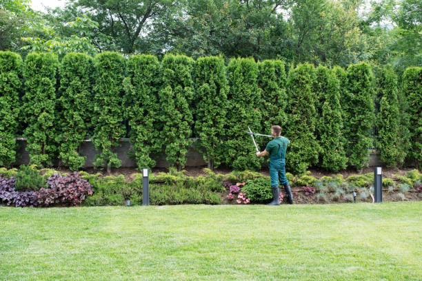 Best Pest Control for Lawns  in Bowie, MD