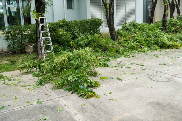 Best Tree Preservation Services  in Bowie, MD
